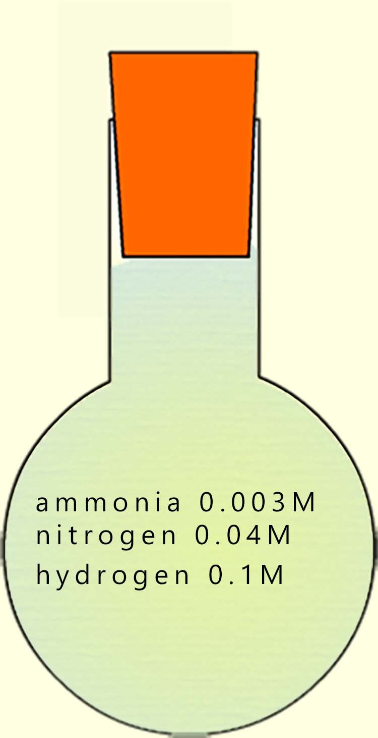 Conical flask containing an equilibrium mixture of nitrogen, hydrogen and ammonia.